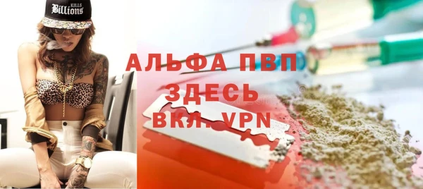 крисы Баксан