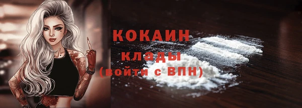 крисы Баксан