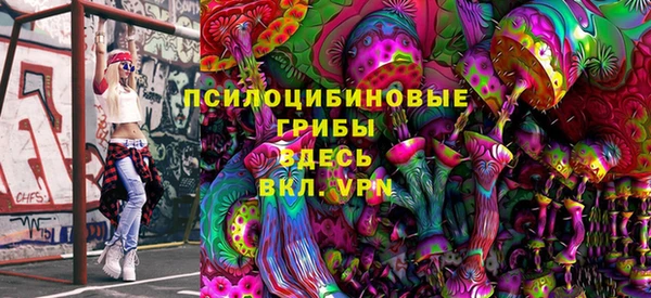 крисы Баксан