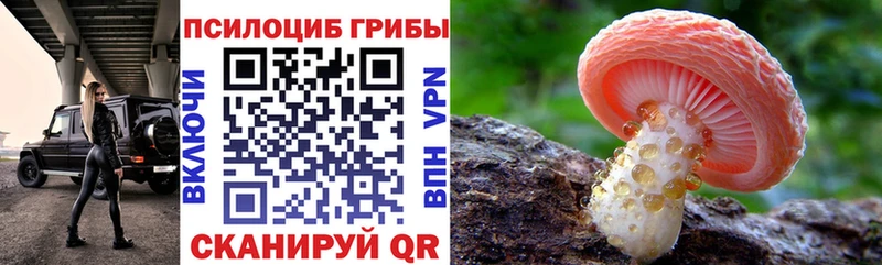 Галлюциногенные грибы MAGIC MUSHROOMS  площадка телеграм  Нижний Ломов  как найти  